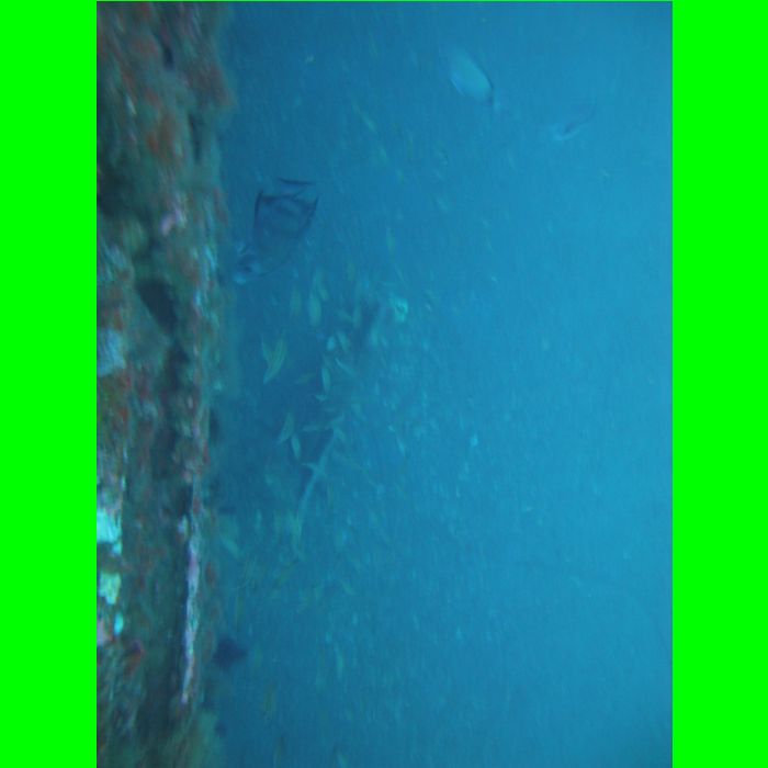 Dive NC 4-Jul-09_552.JPG